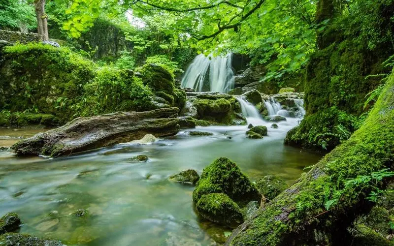 高端智慧信息化